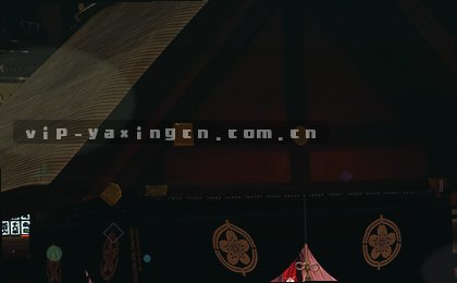 西班牙队备战欧洲杯，中场新核成关键
